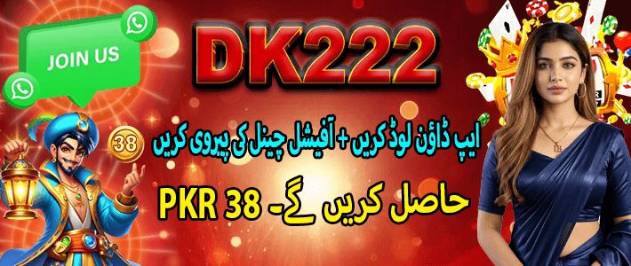 dk222 game image