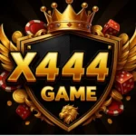 X444 Game Icon