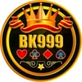 BK999 Game Apk (Earning App in Pakistan) Download for Android