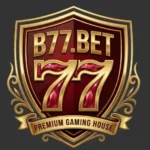 B77 Game Icon
