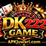 dk222 game feature image